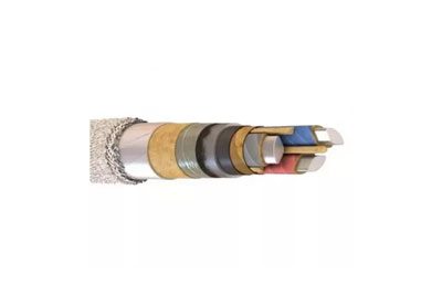 cabel-tssbg
